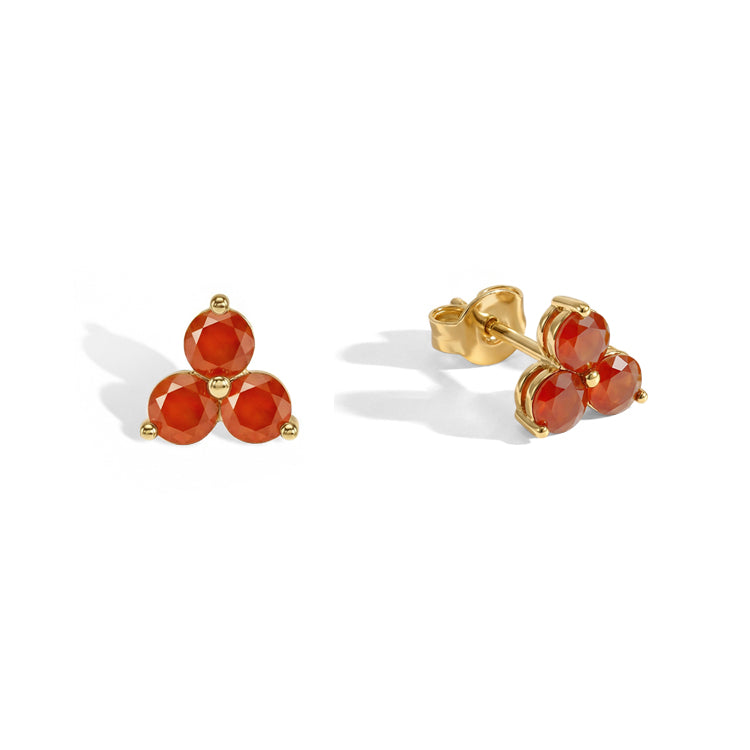 Carnelian Earrings - Facing Challenges