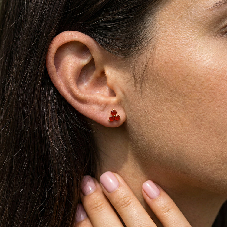Carnelian Earrings - Facing Challenges