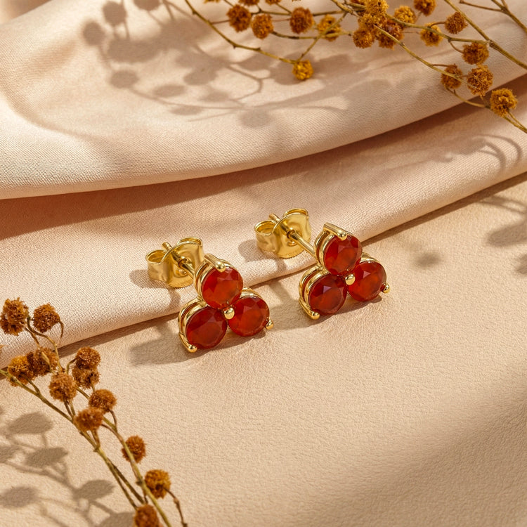Carnelian Earrings - Facing Challenges