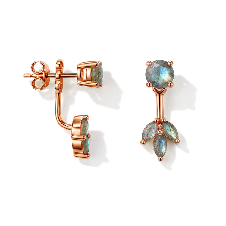 Labradorite Earrings - Front and Back