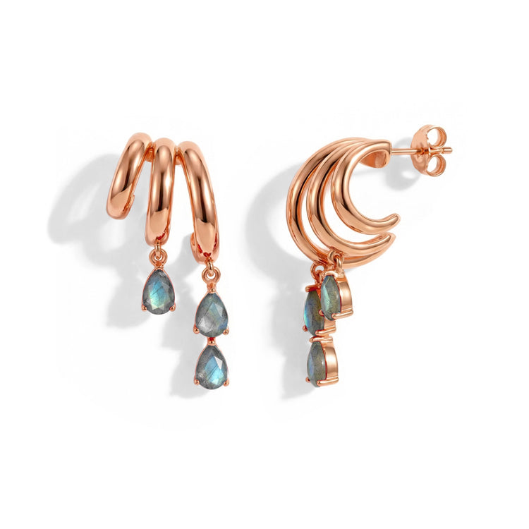 Labradorite Dangle Earrings