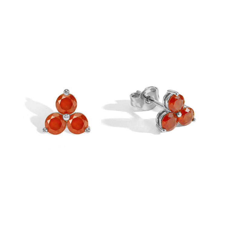 Carnelian Earrings - Facing Challenges