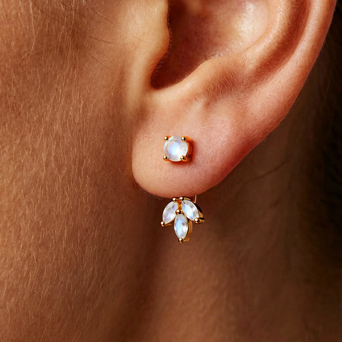 Front Back Moonstone Earrings